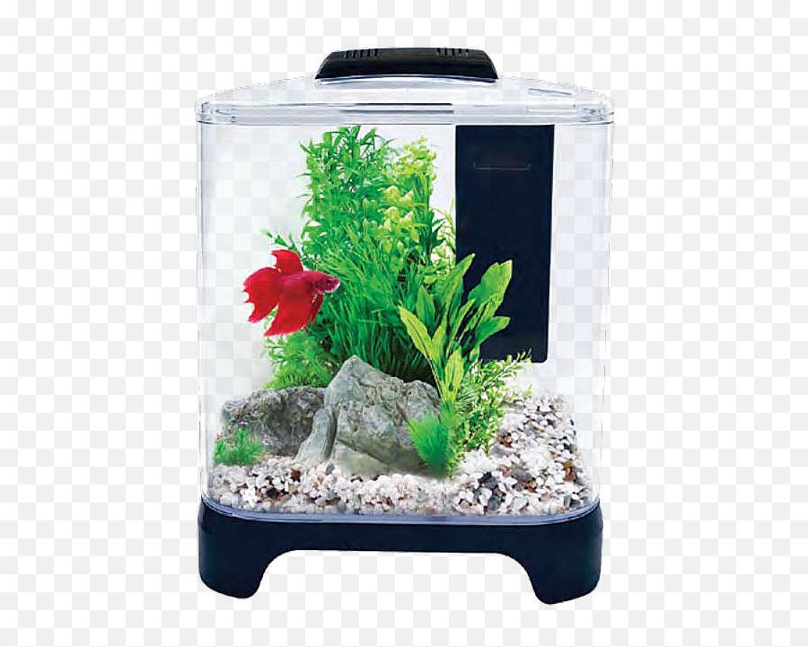 Betta Haven Acrylic Tank 7 Litres - Betta Tank With Filter And Heater Png,Betta Fish Png