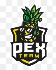 Pex Team - Leaguepedia League Of Legends Esports Wiki Pex Team Png,Pineapples Png