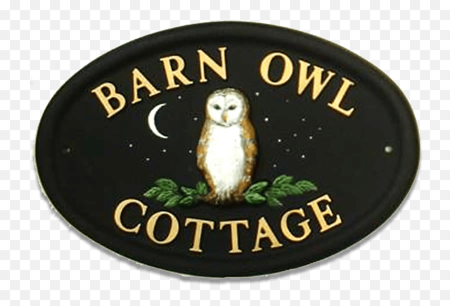 Download Hd Owl Barn Small House Sign - Barn Owl Transparent Barn Owl Png,Barn Owl Png