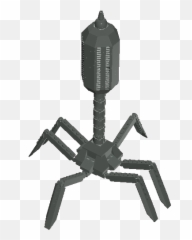 Brickshelf Gallery - Viruspng Tarantula,Virus Png