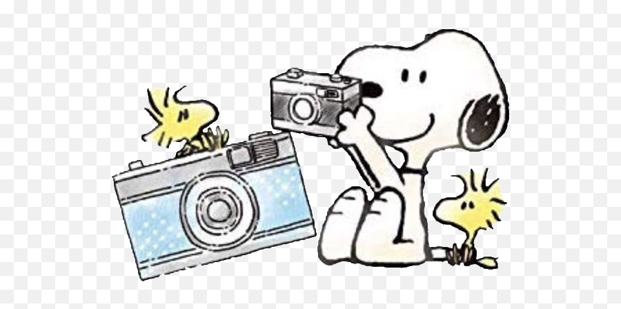 Snoopy Camera Peanuts Sticker By Miumiuu003d - U003d Snoopy Camera Png,Snoopy Transparent