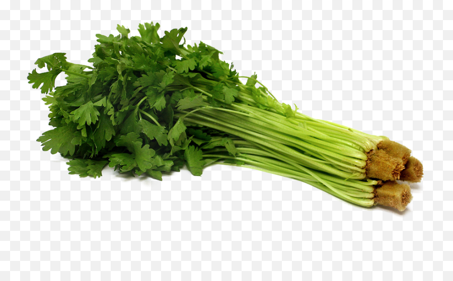 Download Celery Png Pic - Celery Png,Celery Png