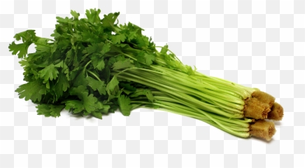 Download Celery Png Pic - Celery Png,Celery Png