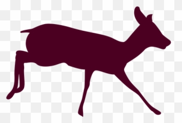 Deer Free Png Transparent Background - Movida Lounge And Dining