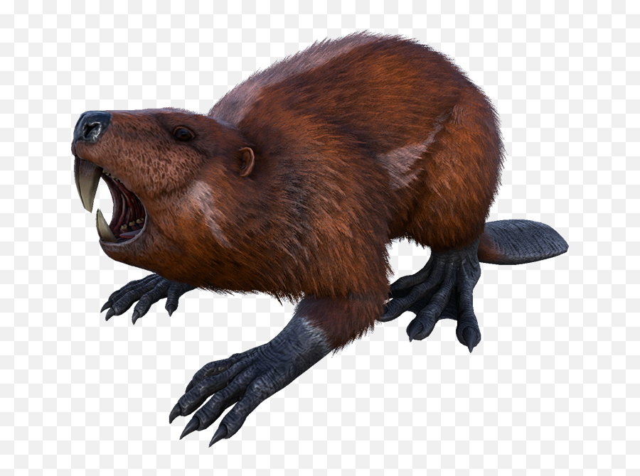 Beaver Png Download Image - Castoroides Ark,Beaver Png