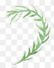 Watercolor Painting Transparency And - Plants Transparent Background png