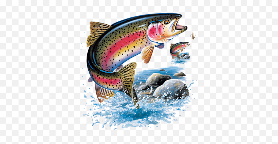 Rainbow Trout Heat Transfers - Rainbow Trout Jumping Png,Trout Png