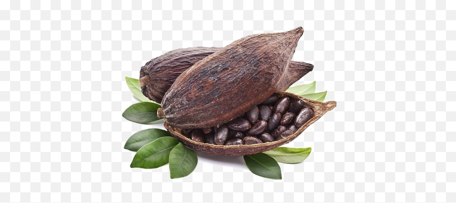 Cocoa Beans Transparent Png Mart - Cocoa Bean Transparent Background,Beans Png
