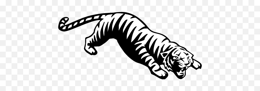 Tiger Logo Black And White Png 1 Image - Logo Wittenberg University,White Tiger Png