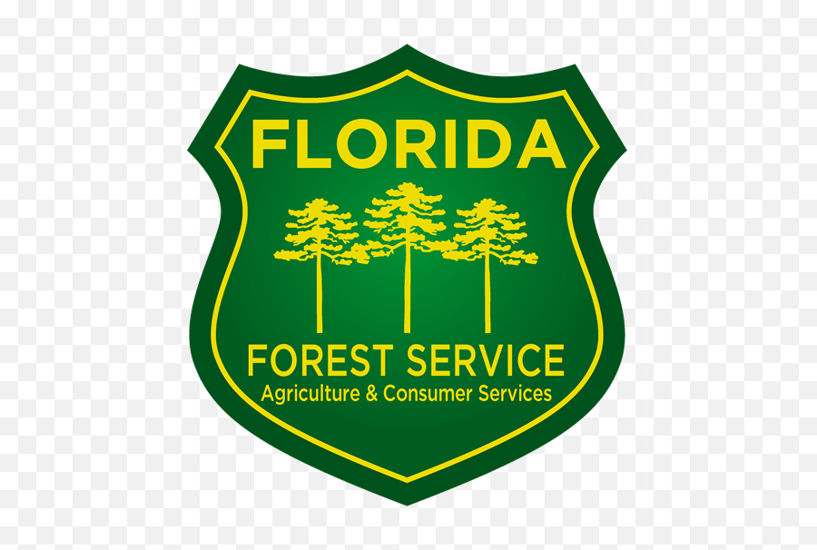 Florida - Florida Forest Service Graphic Png,Forest Service Logo