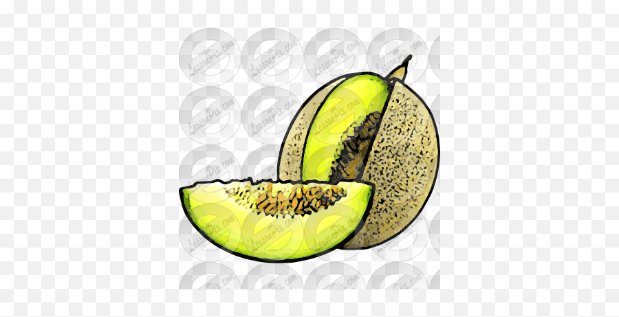 Honeydew Picture For Classroom - Superfood Png,Honeydew Png