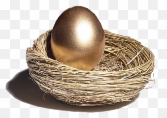 Download Nest Transparent Hq Png Image - Egg On Nest Png,Nest Png