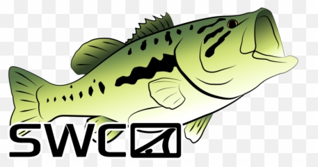 Mirror Largemouth Bass Decal - Pull Fish Out Of Water Png,Largemouth Bass Png