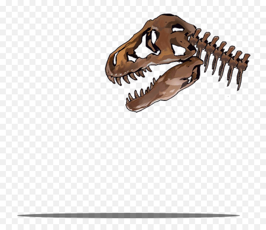 Museum Trip Gfldb - Tyrannosaurus Png,Dinosaur Skull Png