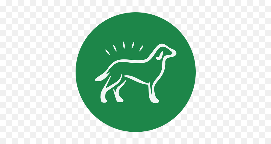 Take The Mystery Out Of Dog Food Labels - Dog Png,Dog Food Icon