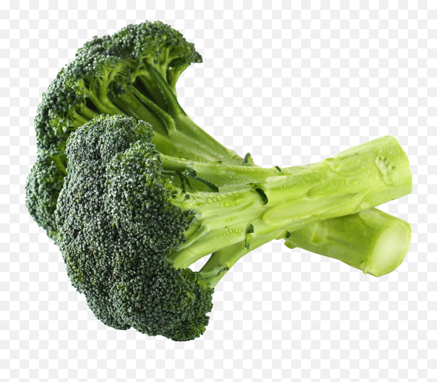 Png Broccoli - Broccoli Png,Broccoli Transparent