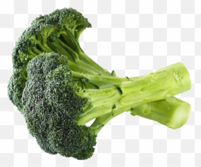 Png Broccoli - Broccoli Png,Broccoli Transparent