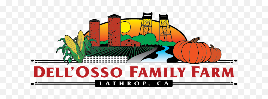 Dellu0027osso Family Farms Pumpkin Maze Holidays - Dell Osso Farms Logo Png,Pumpkin Transparent