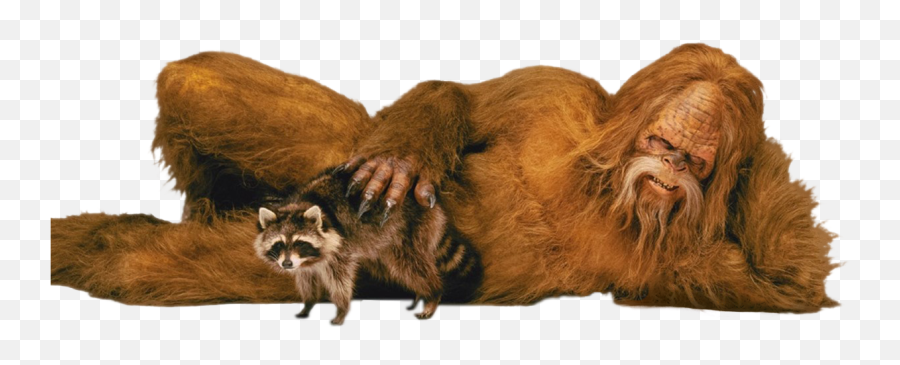 Sasquatch Petting Racoon Cutouts - Sexy Sasquatch Png,Sasquatch Png