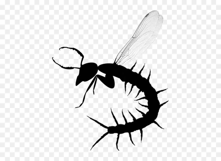 Antennae Dragonfly Wings Centipede - Centipede With Dragonfly Wings Png,Centipede Png