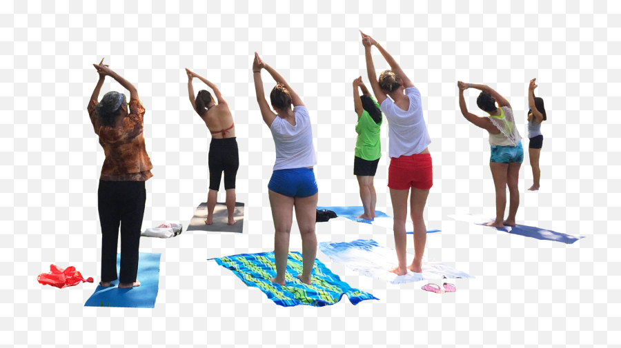 Download Hd Potted Socrates - Yoga People Png Transparent People Doing Yoga Png,Group People Png