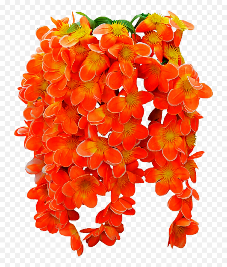 Png Images Of Tropical Flower Vines - Tropical Vine Flowers Png,Vines Transparent