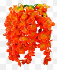 Png Images Of Tropical Flower Vines - Flowers