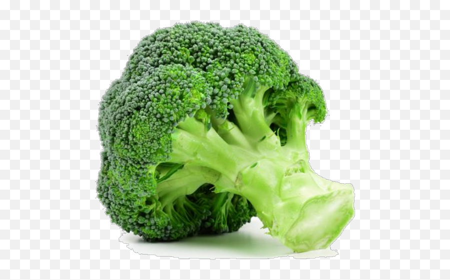 Brocolli - Head Of Broccoli Png,Brocolli Png