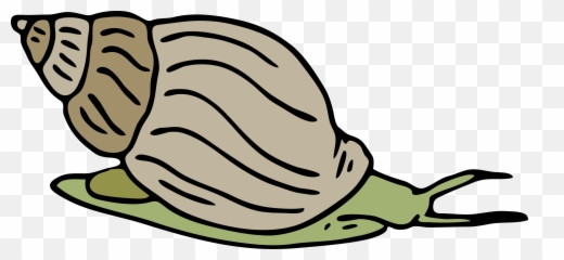 Green Snail Png Clip Arts For Web - Clip Arts Free Png Snail Clip Arts,Snail Png
