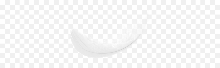 Feather Png Images Free Download - Plume Blanche Fond Transparent,Black Feather Png