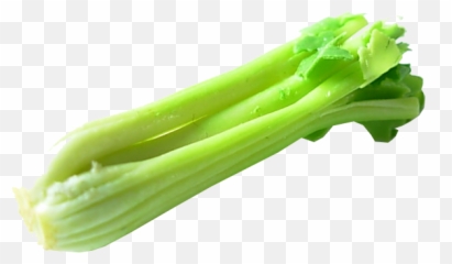 Celery Png Transparent - Transparent Celery Png,Celery Png