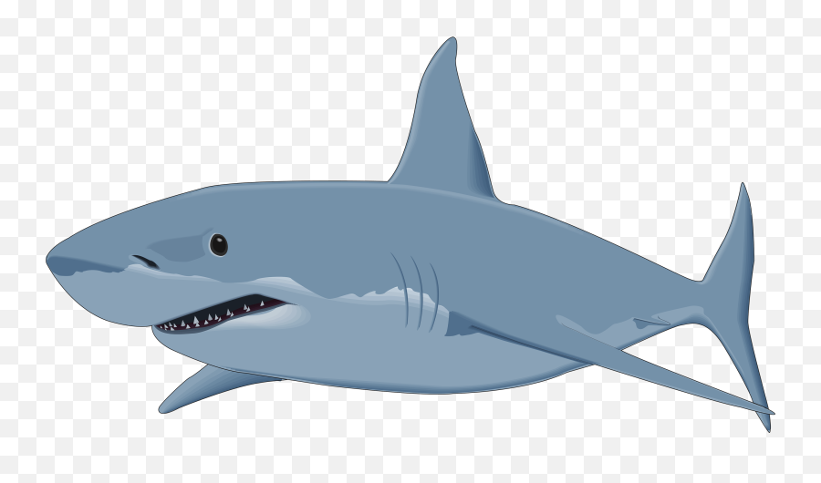 Shark Png - Shark Clipart Png,Great White Shark Png