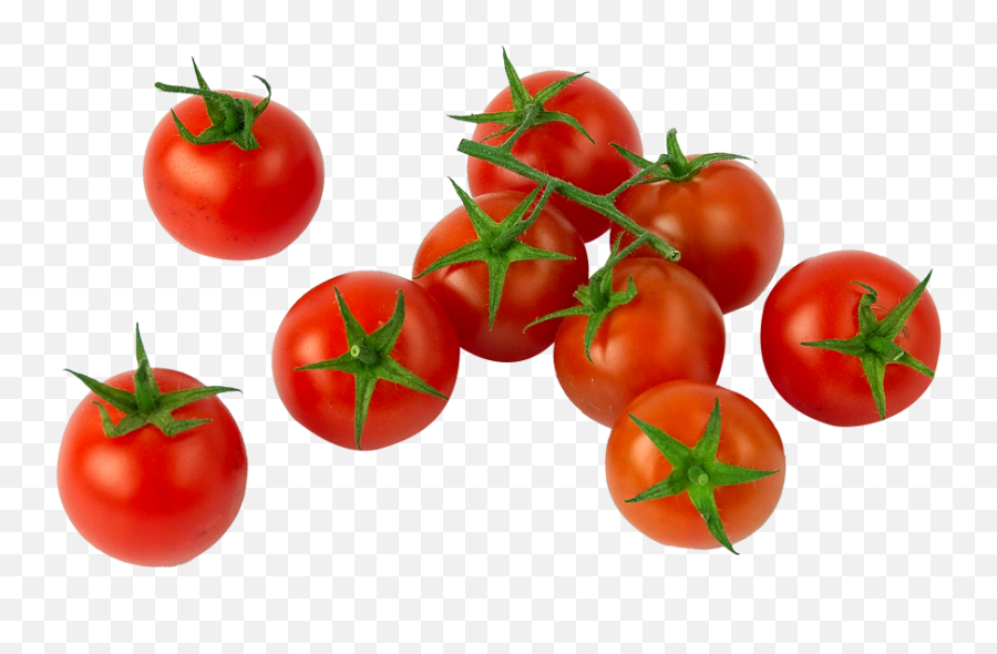 B - 1825853459 Cashadvance6onlinecom Download Tomatoes Cherry Tomatoes Vs Grape Tomatoes Png,Tomato Transparent Background