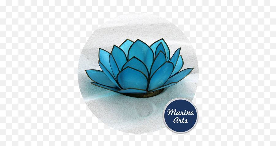 Capiz Lotus Flower - Light Blue 100mm Marine Arts Nymphaea Nelumbo Png,Lotus Flower Transparent Background