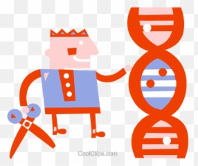 Dna Strand Royalty Free Vector Clip Art - Dna Cutting Png,Dna Strand Png