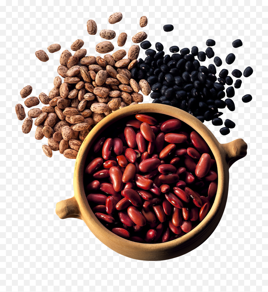Kidney Beans Png - Eating Beans Clipart Png,Beans Png