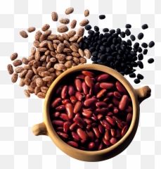 Kidney Beans Png - Eating Beans Clipart Png,Beans Png