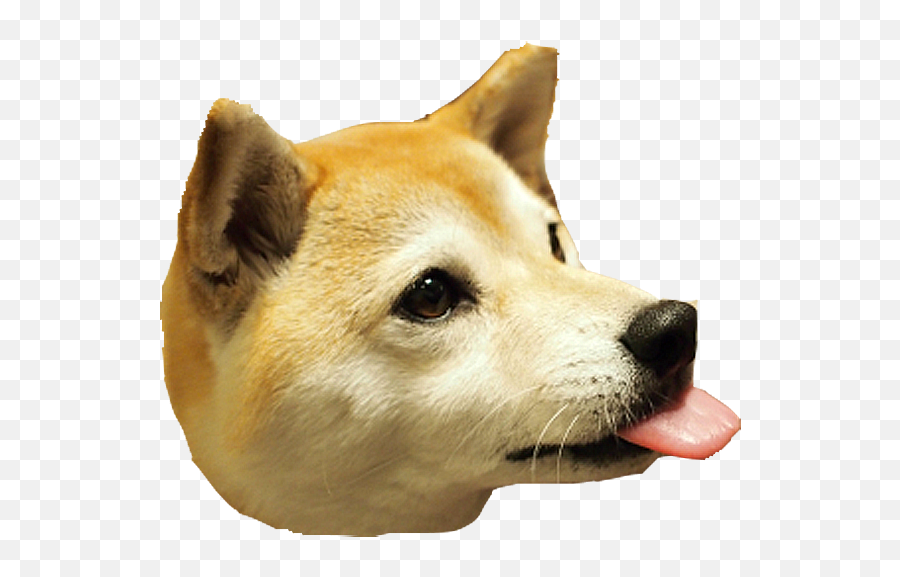 Dog Head Png Picture - Dog Head Png,Shiba Inu Png
