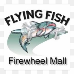 Biddingowl - Catfish Png,Flying Fish Logo