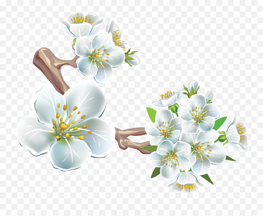 Branch Clip Art - Spring Flowers Png Download 1280998 Cherry Blossom,Spring Flower Png