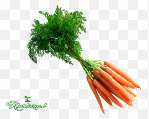 Verduras Alicante - Superfood Png,Zanahoria Png
