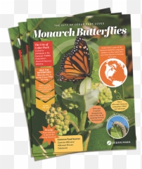 Monarch Butterfly Preservation City Of Cedar Park Texas - png