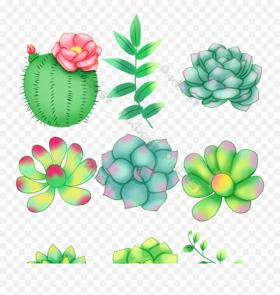 Beautiful Drawing Succulent Cactus Png Images Psd Free - Floral,Succulent Icon Transparent