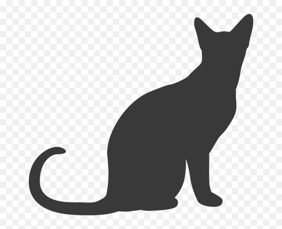Download Theres A Sad Cat Looking Out - Transparent Background Cat Silhouette Transparent Png,Sad Cat Png