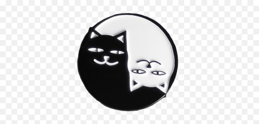25 My Problem Is You Ideas Emily The Strange - Cat Png,Alec Lightwood Icon