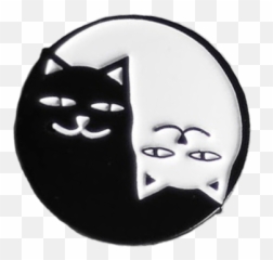 25 My Problem Is You Ideas Emily The Strange - Cat Png,Alec Lightwood Icon