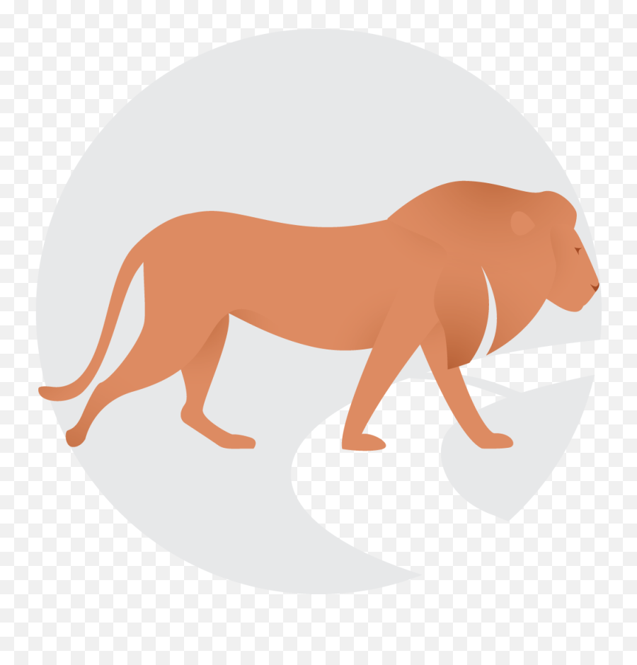 Download Copy Writing Icon - Copy Png Image With No Animal Figure,Writing Icon Transparent