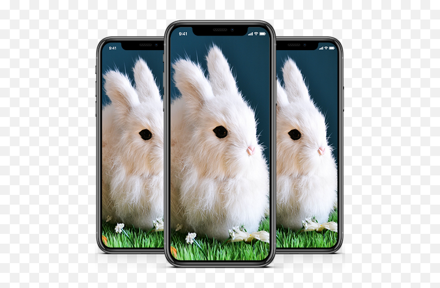 Rabbit Wallpaper Apk 11 - Download Apk Latest Version Domestic Rabbit Png,Life360 Icon Aesthetic
