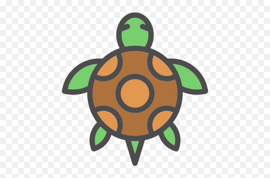 Free Animals Icons 2000 In Png Eps Svg Format - Transparent Turtle Icon Png,Animals Transparent Background