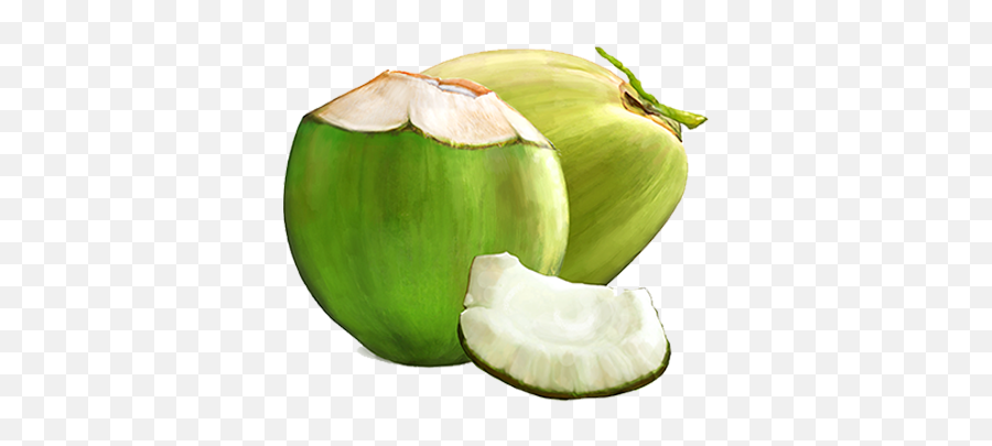Coconut Png Pictures Fresh - Transparent Coconut Water Png,Coconut Png